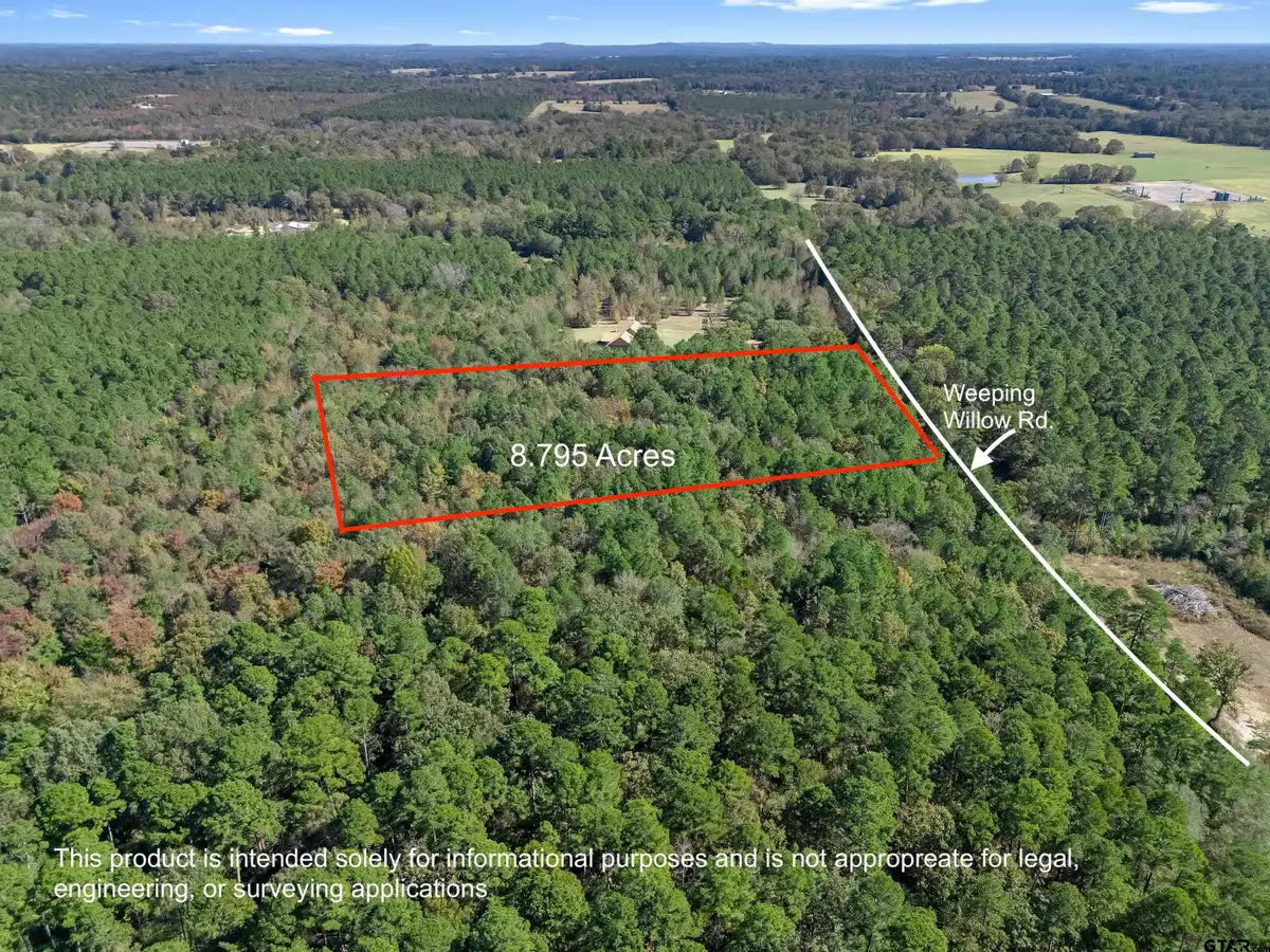 TBD Weeping Willow Rd., Big Sandy, TX 75755 - Image #1