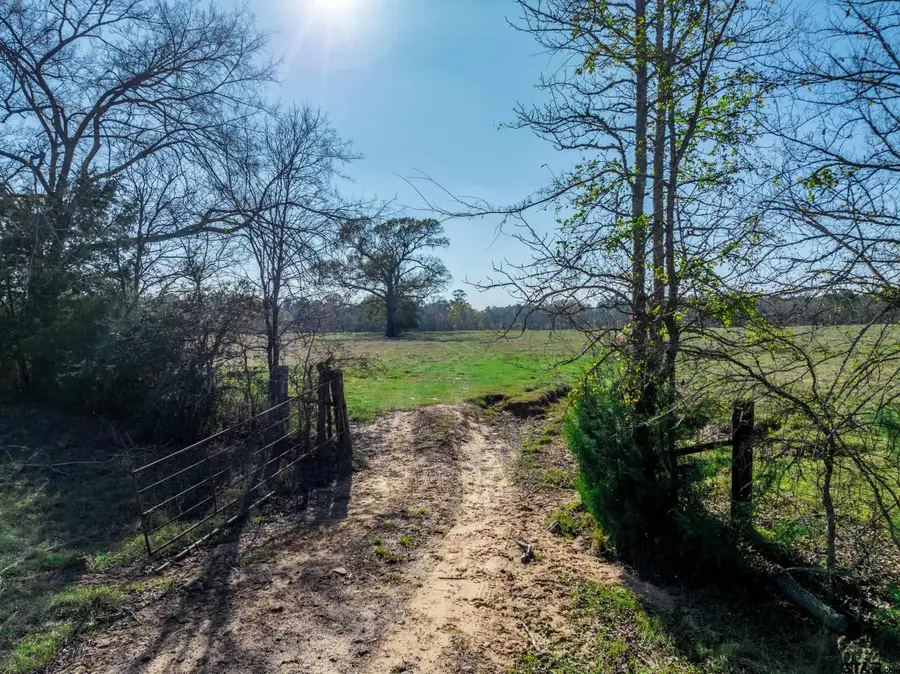 0 An County Road 153, Palestine, TX 75801 - #3