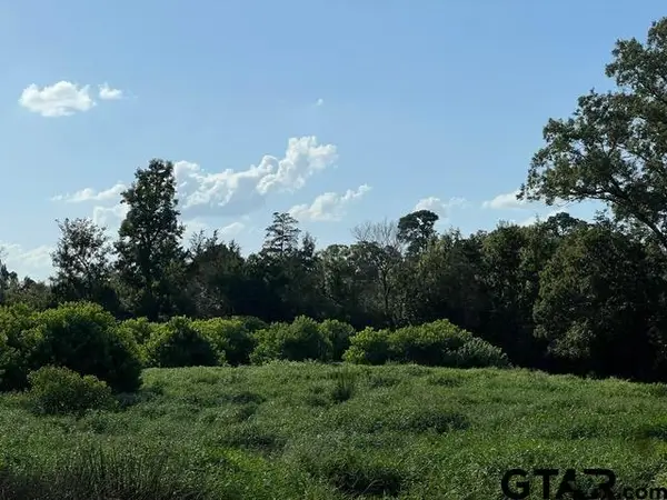 589 US Hwy 84 E, Tenaha, TX 75974