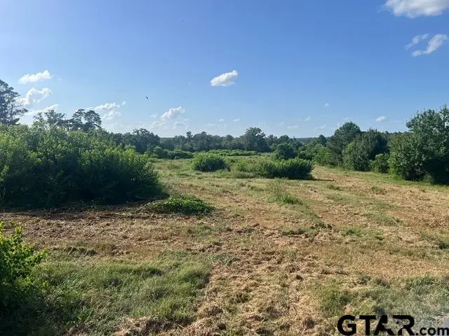 589 US Hwy 84 E, Tenaha, TX 75974 - Image #2