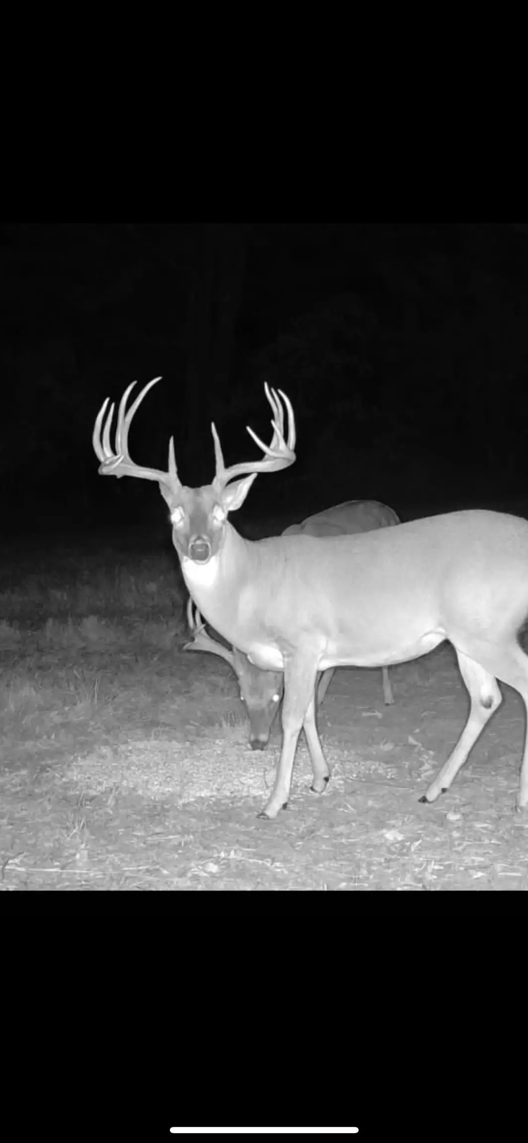 TBD CR 2737, Naples, TX 75568 - Image #1