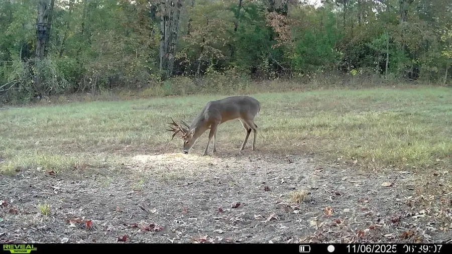 TBD CR 2737, Naples, TX 75568 - Image #3