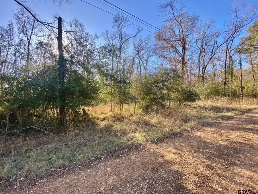 Lot #10 Tall Timber Road, Crockett, TX 75835 - #2