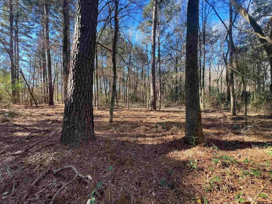 TBD FM 161 N, Naples, TX 75568 - Image #2