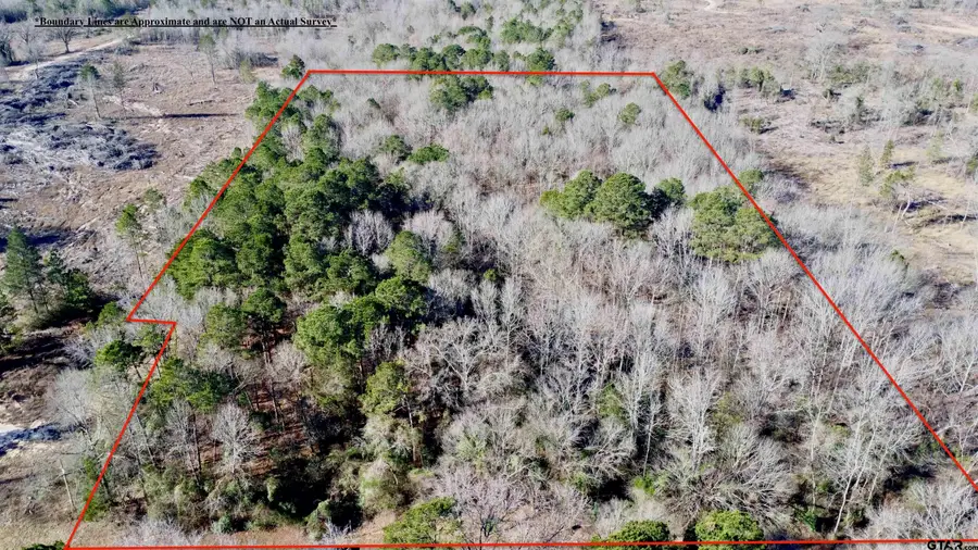 TBD FM 161 N, Naples, TX 75568 - Image #3