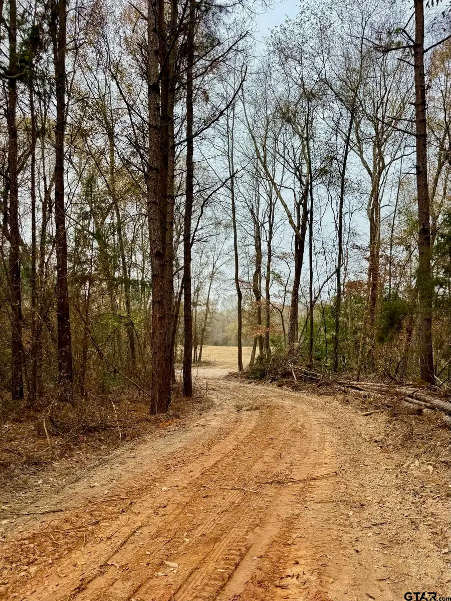 Tract 1 CR 1504, Jacksonville, TX 75766 - Image #3