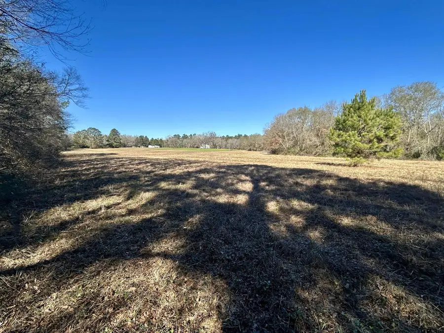 Tract 2 CR 1504, Jacksonville, TX 75766 - Image #2