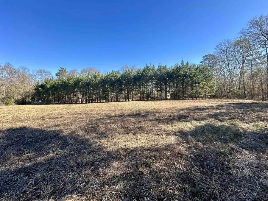 Tract 2 CR 1504, Jacksonville, TX 75766 - Image #3