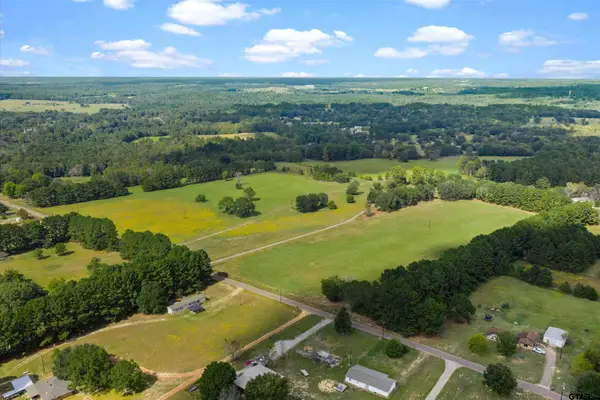 TBD W CR 413, Henderson, TX 75654