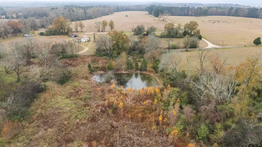 1533 COUNTY ROAD 2807, Alto, TX 75925 - Image #2