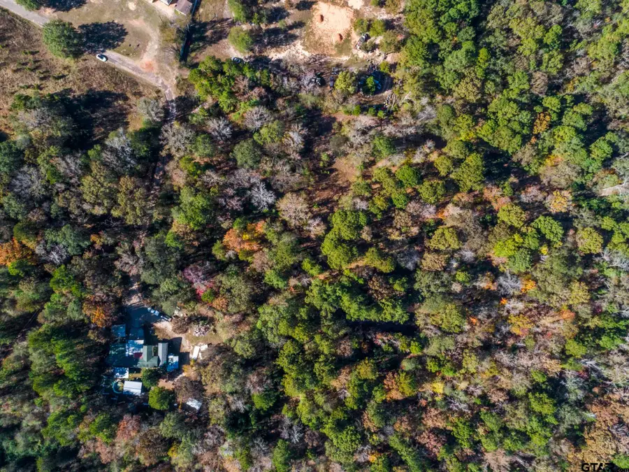 TBD CR 396, Tyler, TX 75708 - Image #2