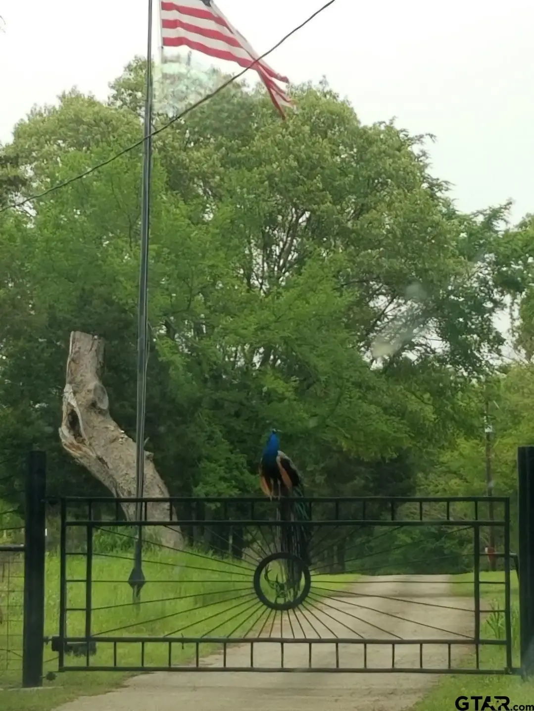 10774 CR 494 (6 homes), Tyler, TX 75706 - Image #1