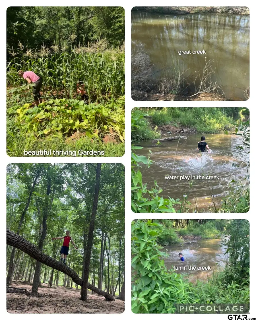 10774 CR 494 (6 homes), Tyler, TX 75706 - Image #3