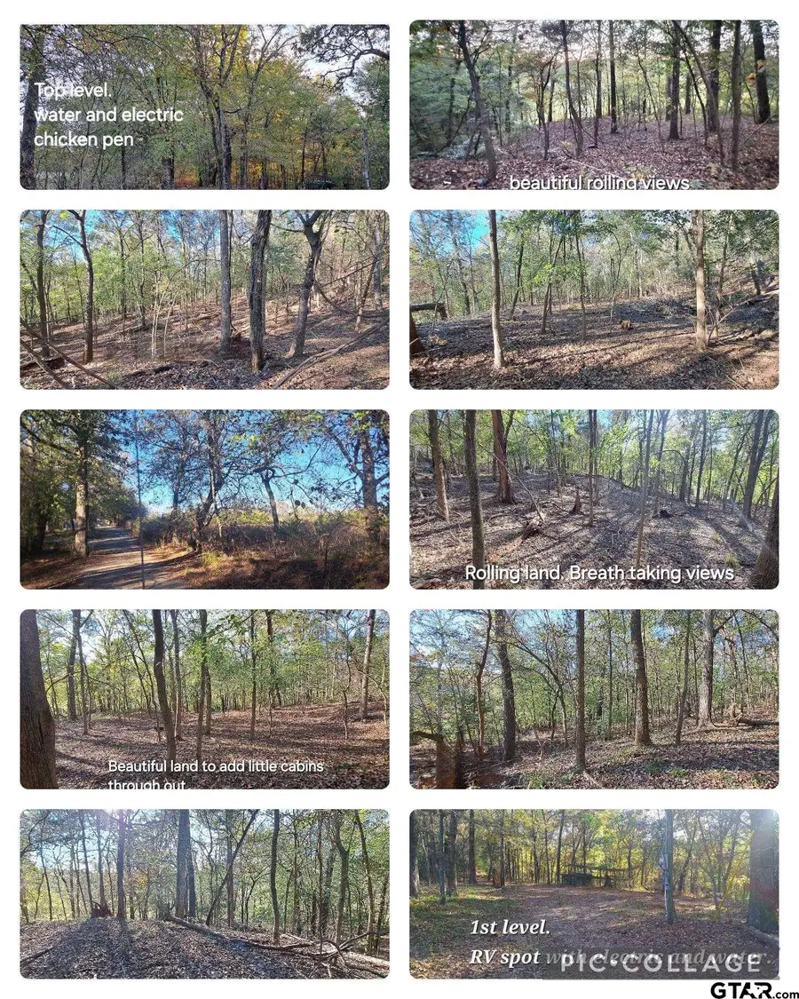 10774 County Road 494 (multiple addresses), Tyler, TX 75706 - Image #2