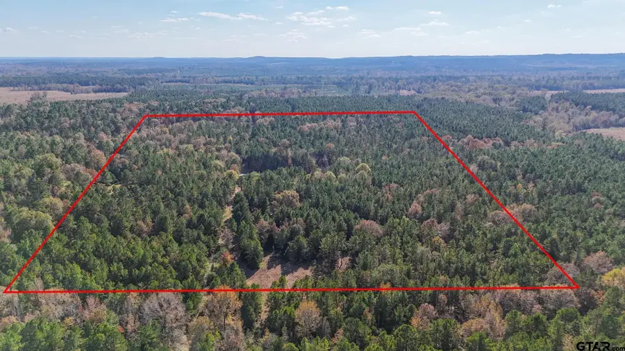 748 County Rd 1221, Rusk, TX 75785 - Image #2