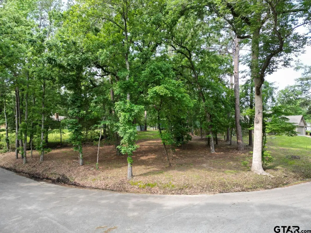 23628 Cove Park Dr., Bullard, TX 75757 - Image #1