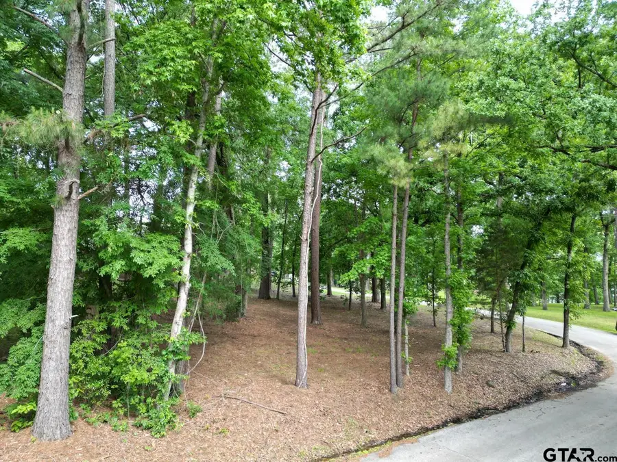 23628 Cove Park Dr., Bullard, TX 75757 - Image #2