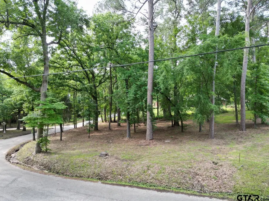 23628 Cove Park Dr., Bullard, TX 75757 - Image #3