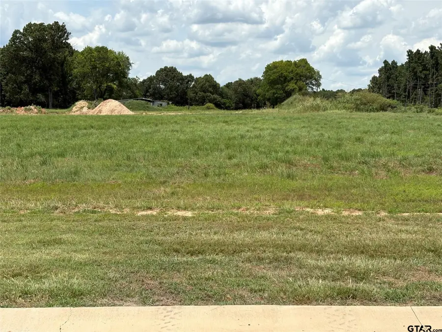 Lot 19 Private Road 5948, Yantis, TX 75497 - Image #3