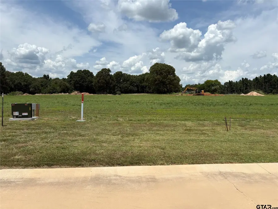 Lot 20 Private Road 5948, Yantis, TX 75497 - Image #3
