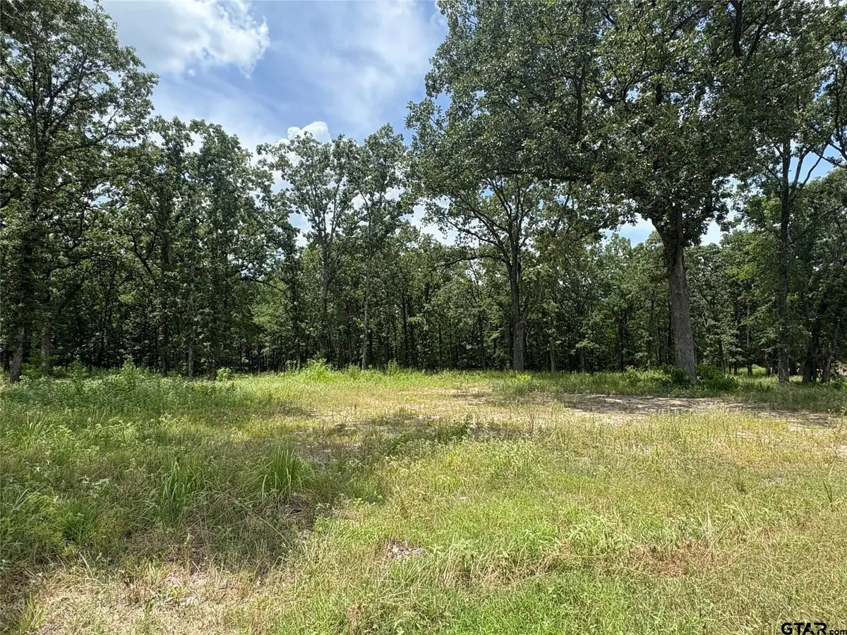 Lot 22 Private Road 5948, Yantis, TX 75497 - Image #1