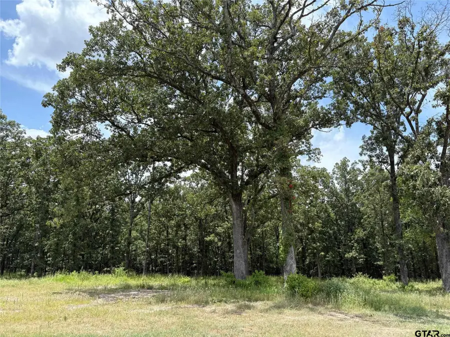 Lot 22 Private Road 5948, Yantis, TX 75497 - Image #3