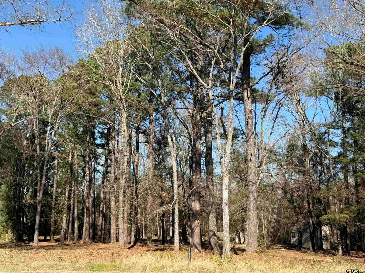 11266 FM 344 W, Bullard, TX 75757 - Image #1