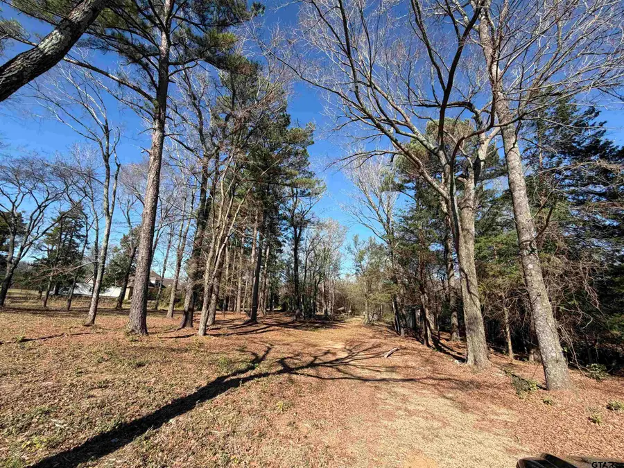 11266 FM 344 W, Bullard, TX 75757 - Image #3