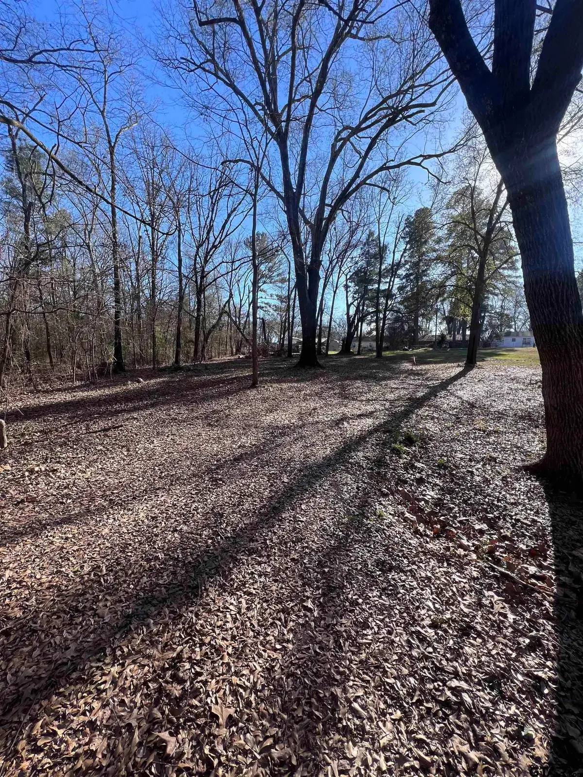 TBD Quail Run, Mount Pleasant, TX 75455 - Image #1