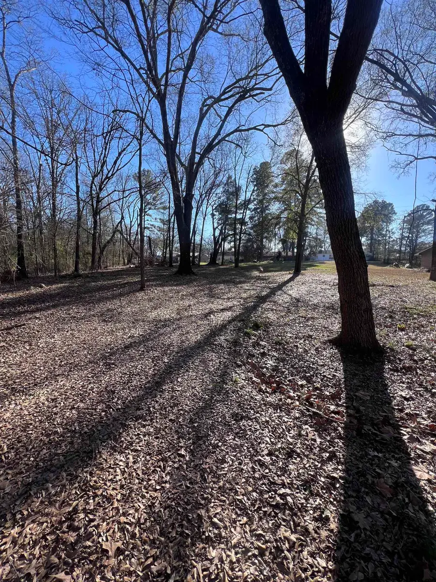 TBD Quail Run, Mount Pleasant, TX 75455 - Image #2