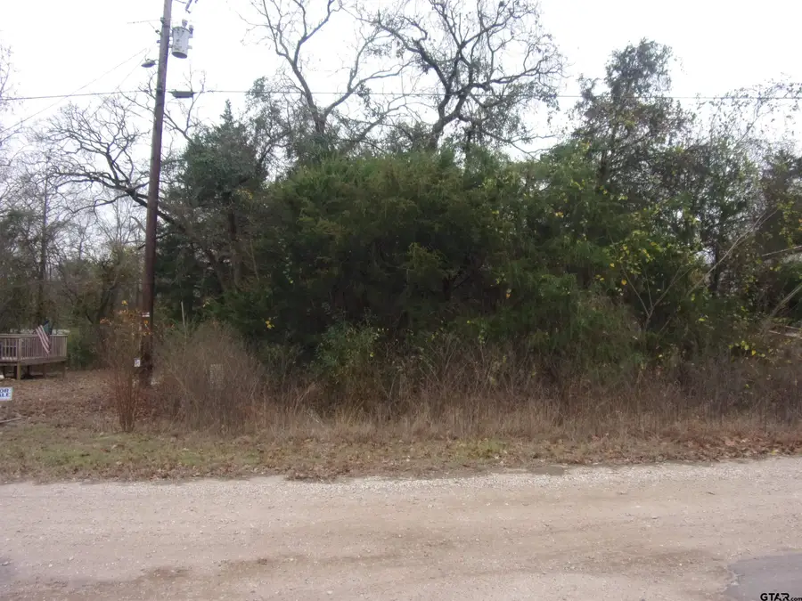 tbd E Elm, Murchison, TX 75778 - Image #2