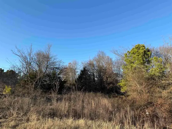 13358 Nance Ln, Lindale, TX 75771