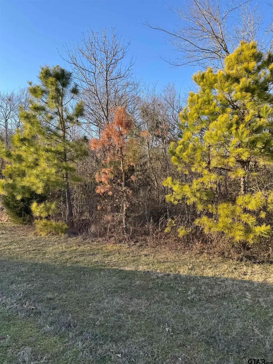 13358 Nance Ln, Lindale, TX 75771 - Image #2