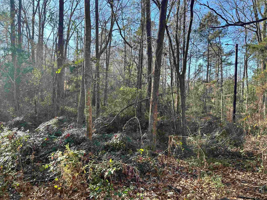 TBD Co Rd 3194, Mount Enterprise, TX 75681 - Image #2