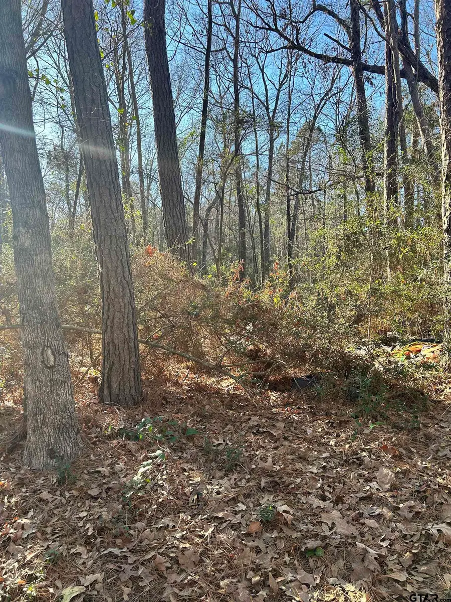 TBD Co Rd 3194, Mount Enterprise, TX 75681 - Image #3