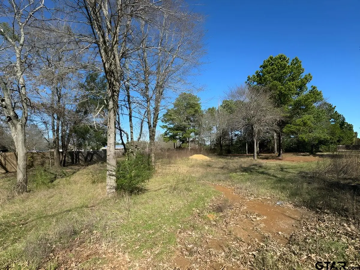 Lot 7 Berrycreek Circle, Frankston, TX 75763 - Image #1