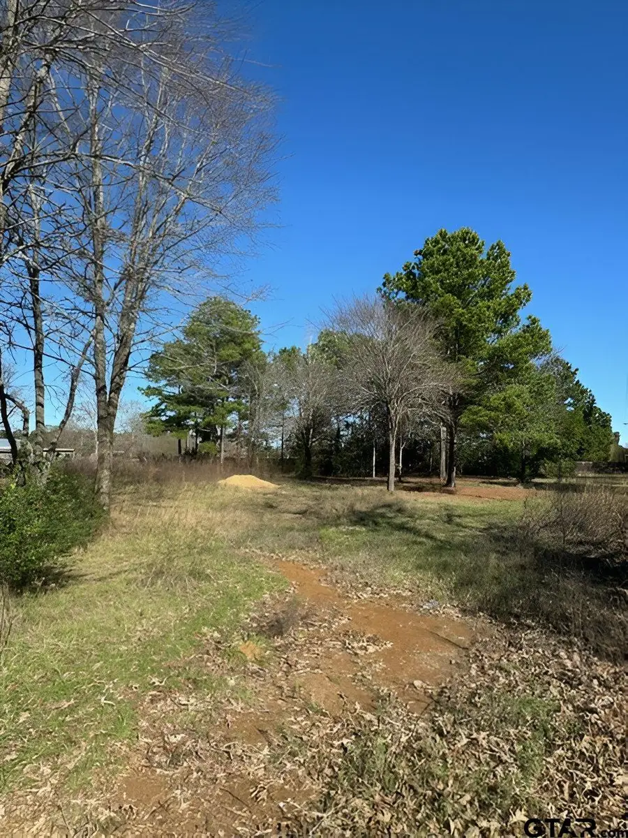 Lot 7 Berrycreek Circle, Frankston, TX 75763 - Image #2