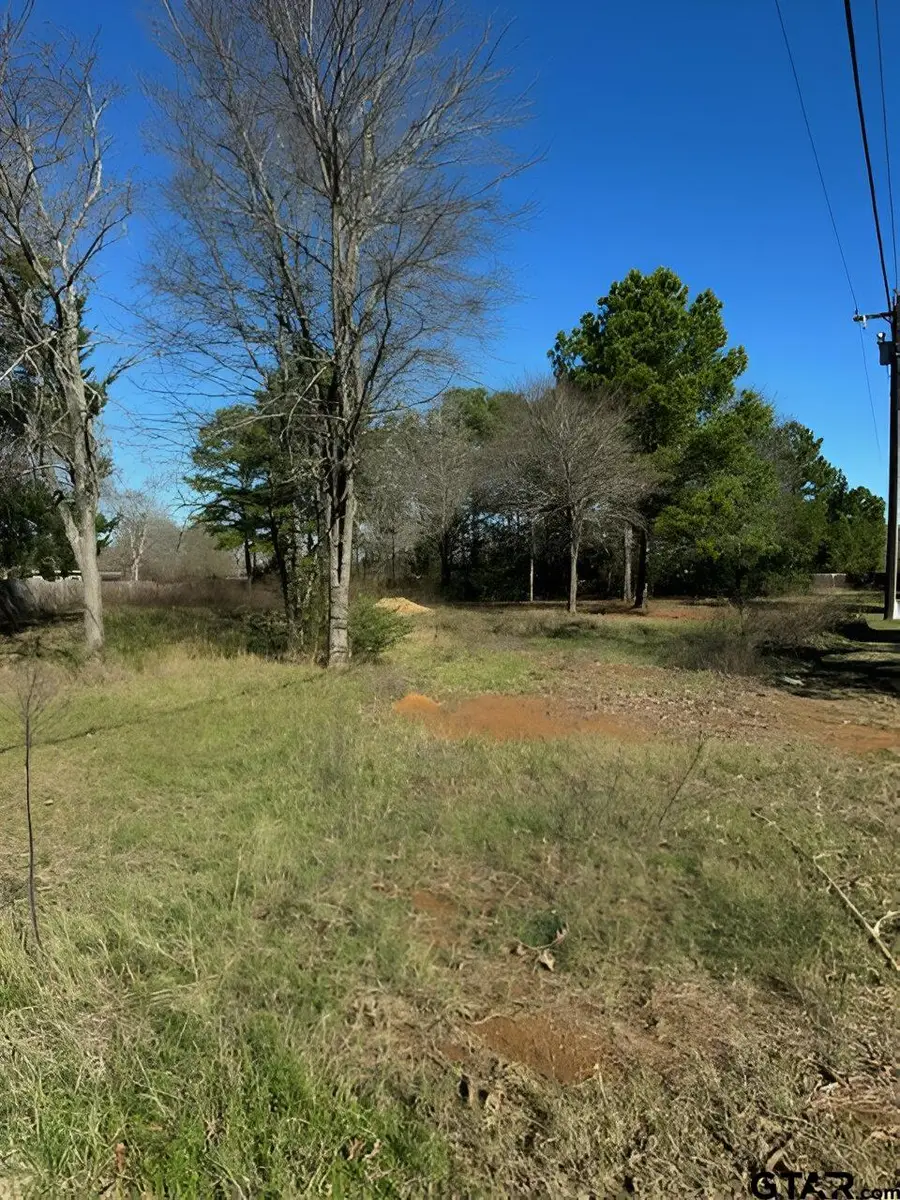 Lot 7 Berrycreek Circle, Frankston, TX 75763 - Image #3