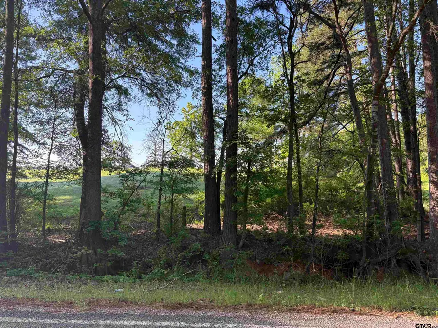 LOT 9  5+ ACRES FM 15, Troup, TX 75789 - Image #2