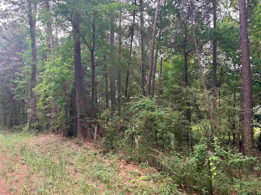 LOT 9  5+ ACRES FM 15, Troup, TX 75789 - Image #3