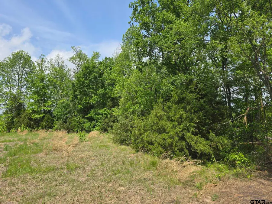 172 CR 4214 Daniels Chapel, Naples, TX 75568 - Image #3