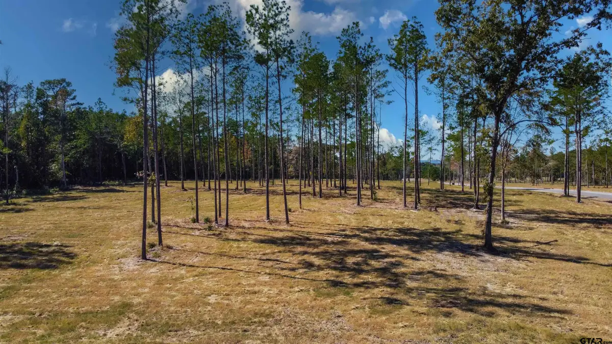 15922 Aniston Ln - (lot 20), Flint, TX 75762 - #1