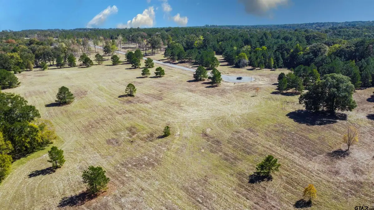 15868 Aniston Ln - (lot 21), Flint, TX 75762 - #1