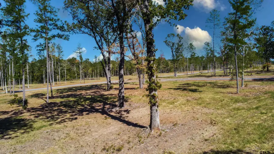 15868 Aniston Ln - (lot 21), Flint, TX 75762 - #2