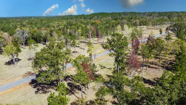 15640 Aniston Ln - (lot 25), Flint,  75762