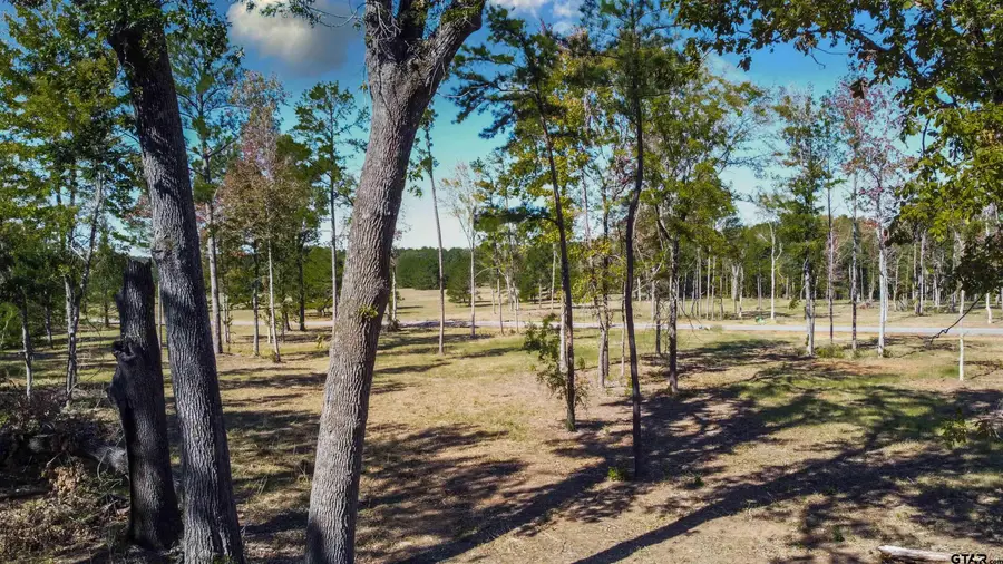 15640 Aniston Ln - (lot 25), Flint, TX 75762 - #2