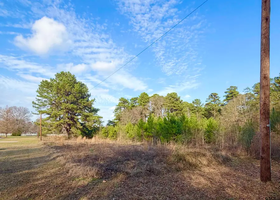 TBD Danville Drive, Kilgore, TX 75662 - Image #3