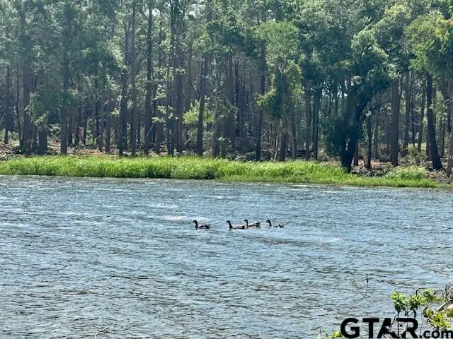 Lot 34 Oak River, Frankston, TX 75763 - Image #3