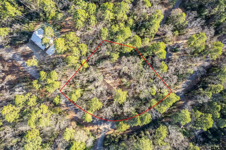 945 Valleywood Trail, Holly Lake Ranch, TX 75765 - Image #2