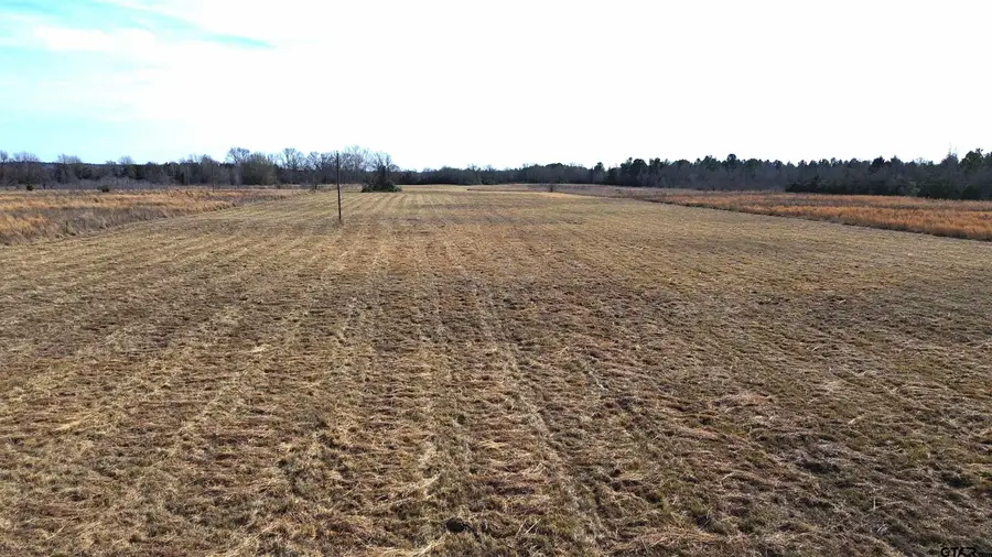 TBD CR 2255, Grapeland, TX 75844 - Image #3